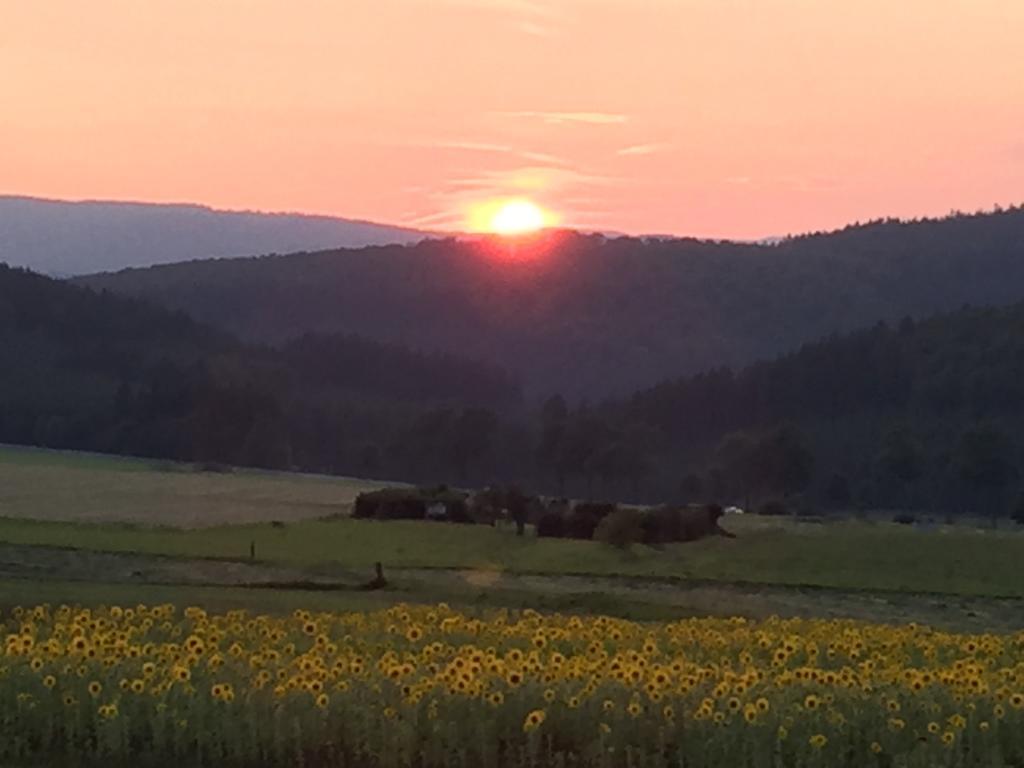 Ferienwohnung Sauerlandblick Goldhausen Kültér fotó